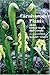 Carnivorous Plants of the United States and Canada by Donald Schnell