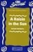 A Raisin in the Sun, Lorraine Hansberry