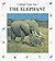 The Elephant (Animal Close-Ups)