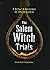 Salem Witch Trials: How History Is Invented (How History Is Invented Series)