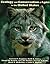 Ecology and Conservation of Lynx in the United States