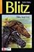 Blitz legt los (Blitz, #6)