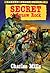Secret of Squaw Rock by Charles Mills