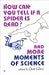 How Can You Tell If a Spide...