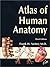 Atlas of Human Anatomy by Frank H. Netter