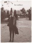Saving the Appearances (New Series (Ahsahta Press), 6)