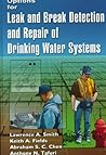 Options for Leak and Break Detection and Repair of Drinking Water Systems
