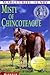 Misty of Chincoteague