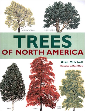 Trees of North America (Paperback)
