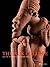 The Nok Culture: Art in Nig...
