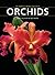 The World's Most Beautiful Orchids by Greg Allikas