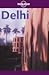 Delhi City Guide by Richard Plunkett