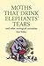 Moths That Drink Elephants' Tears by Matt Walker