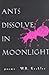 Ants Dissolve in Moonlight