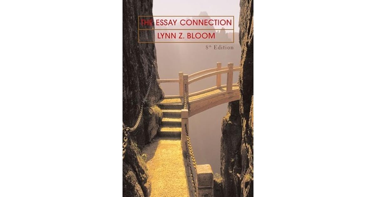 Real world connection essay picture