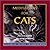 Meditations For Cats