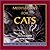 Meditations For Cats by Anne Herman