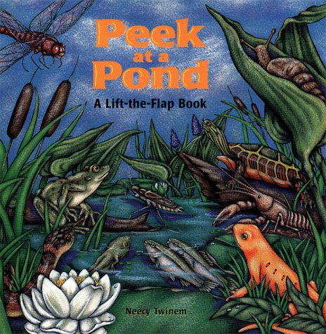 Peek at a Pond (Lift-the-flap Book)