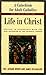 Life in Christ: A Catechism...