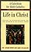 Life in Christ: A Catechism for Adult Catholics