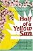 Half of a Yellow Sun by Chimamanda Ngozi Adichie