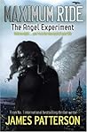The Angel Experiment