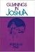Gleanings in Joshua