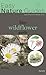 The Easy Wildflower Guide