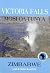 Victoria falls: Mosi-oa-Tunya (Into Africa travel guide)