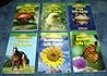 Science Vocabulary Readers-Life Cycles Pack (Science Vocabulary Readers, 1-6)