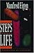 Steps towards Life: A Persp...