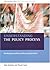 Understanding the policy process: Analysing welfare policy and practice (Understanding Welfare: Social Issues, Policy and Practice)