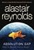Absolution Gap (Revelation Space, #3)