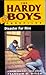 Disaster for Hire (Hardy Boys: Casefiles, #23)