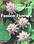 Passion Flowers