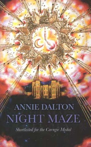 Night Maze (Paperback)