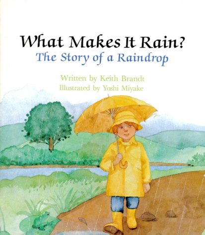 What Makes It Rain? The Story of a Raindrop (Paperback)