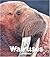Walruses (Naturebooks)