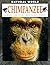 Chimpanzee: Habitats, Life Cycles, Food Chains, Threats (Natural World)