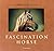 Fascination Horse