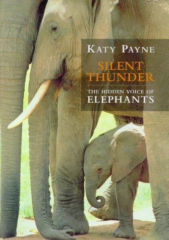 Silent Thunder (Hardcover)