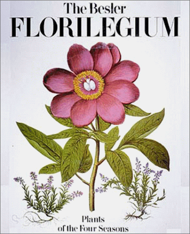 The Besler Florilegium: Plants of the Four Seasons (Hardcover)