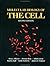 Molecular Biology of the Cell by Bruce Alberts