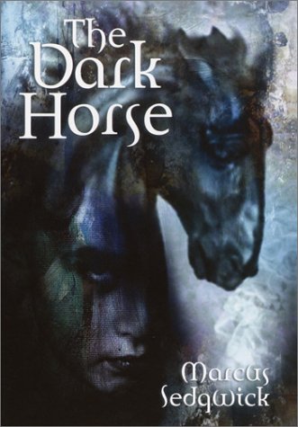 The Dark Horse (Hardcover)