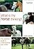 What is My Horse Thinking?:...