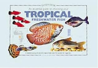 An Essential Guide to Choosing Your Tropical Freshwater Fish
