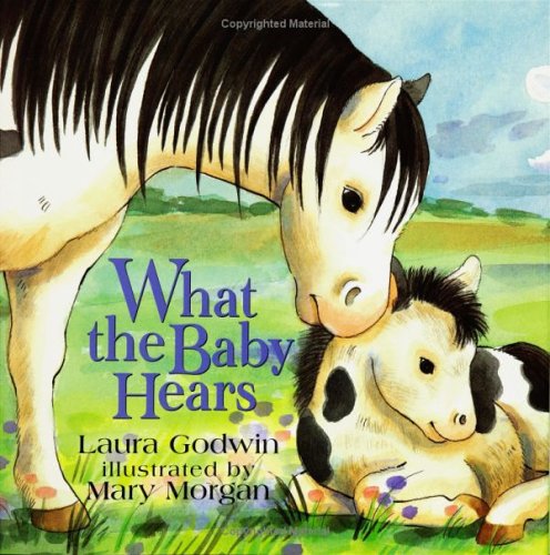 What the Baby Hears (Hardcover)