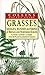 Grasses, Sedges, Rushes and Ferns of Britain and Northern Europe by Richard Fitter