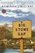 Big Stone Gap by Adriana Trigiani