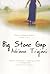 Big Stone Gap by Adriana Trigiani